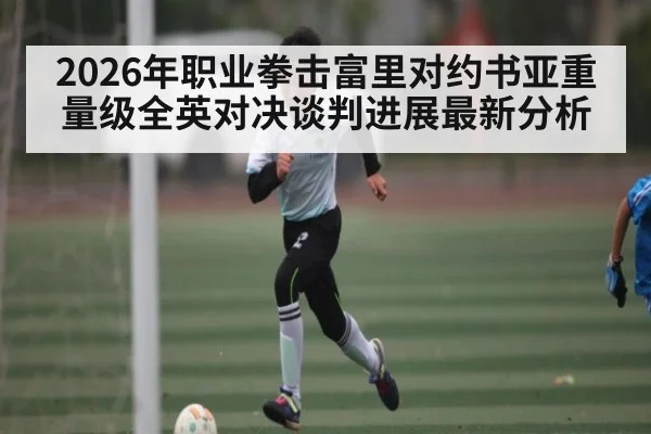 2026年职业拳击富里对约书亚重量级全英对决谈判进展最新分析